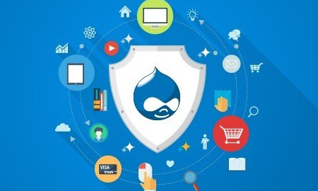 Drupal Users